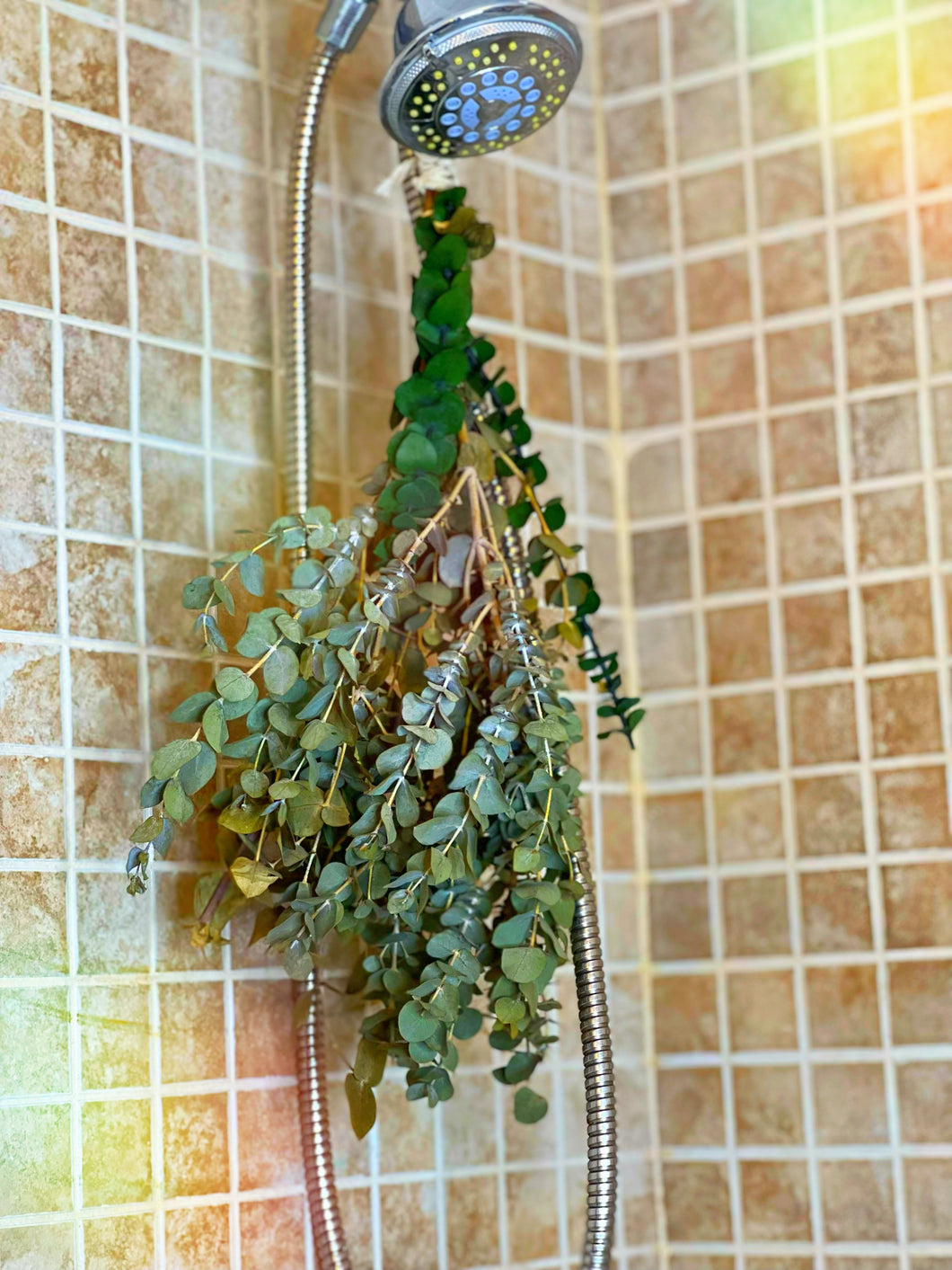 (High Maintenance) Eucalyptus Shower Bundle