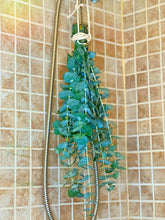 Load image into Gallery viewer, (High Maintenance) Eucalyptus Shower Bundle
