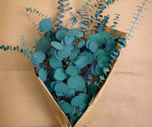 Load image into Gallery viewer, (Low Maintenance) Silver Dollar &amp; Baby Eucalyptus Bundle
